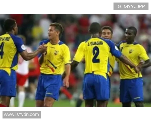 洪都拉斯与厄瓜多尔对决前瞻分析网易独家解读赛事看点与预测