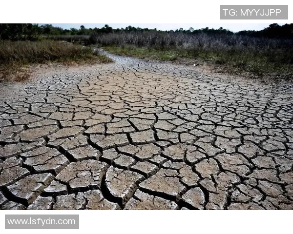当前全球气候变化加剧引发极端天气频发，如何有效应对成为各国关注的核心议题