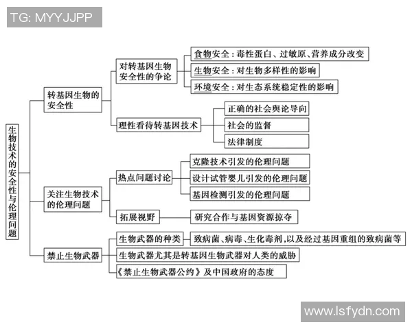 提升训练效果的创新方法与科学策略探讨及实践应用分析