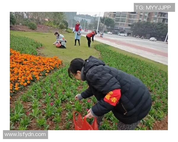 广州极限运动队的拼搏之路：一段不屈不挠的奋斗纪实