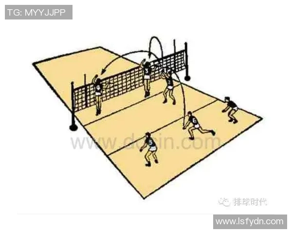 成都排球队战术表现深度分析与数据解读探讨 成都排球队战术表现深度分析与数据解读探讨