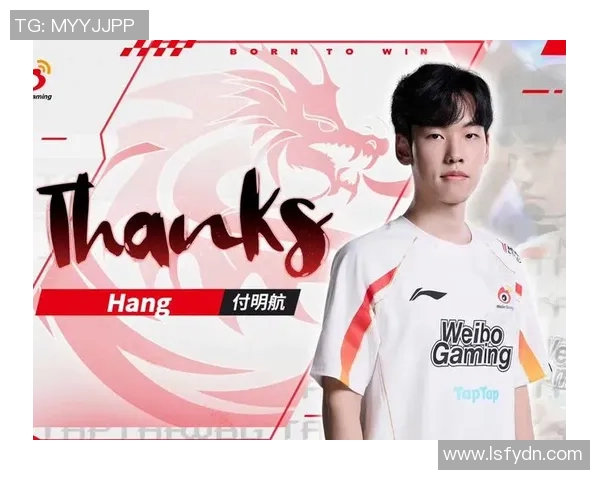 英雄联盟深度解析：揭开WE战队选手个人能力的神秘面纱